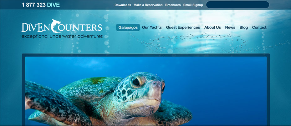 IMG-divencounters
