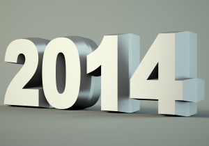 2014 New Year Digits